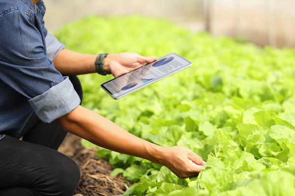 Smart Field Deployment